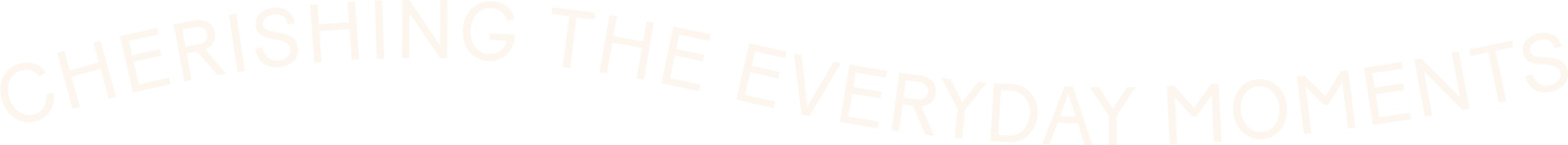 Cherishing the everyday moments. Evri tagline logo.
